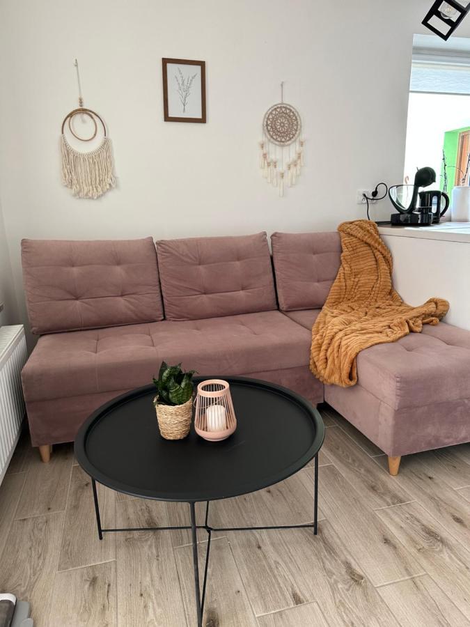 Mr. Sowa Sokolec Apartment Ludwikowice Klodzkie