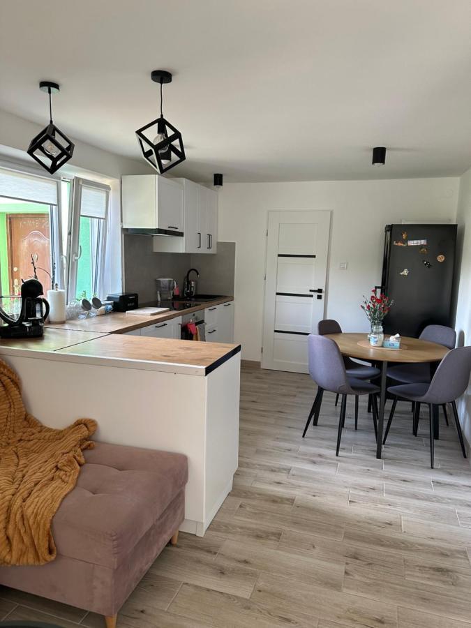 Mr. Sowa Sokolec Apartment
