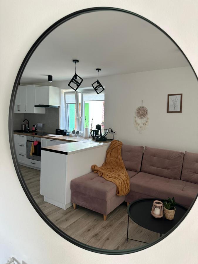Mr. Sowa Sokolec Apartment *